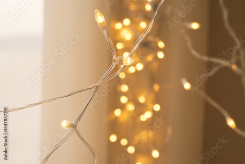 Warm Yellow Twinkling Fairy Lights on Clear Wire Soft Bokeh Background