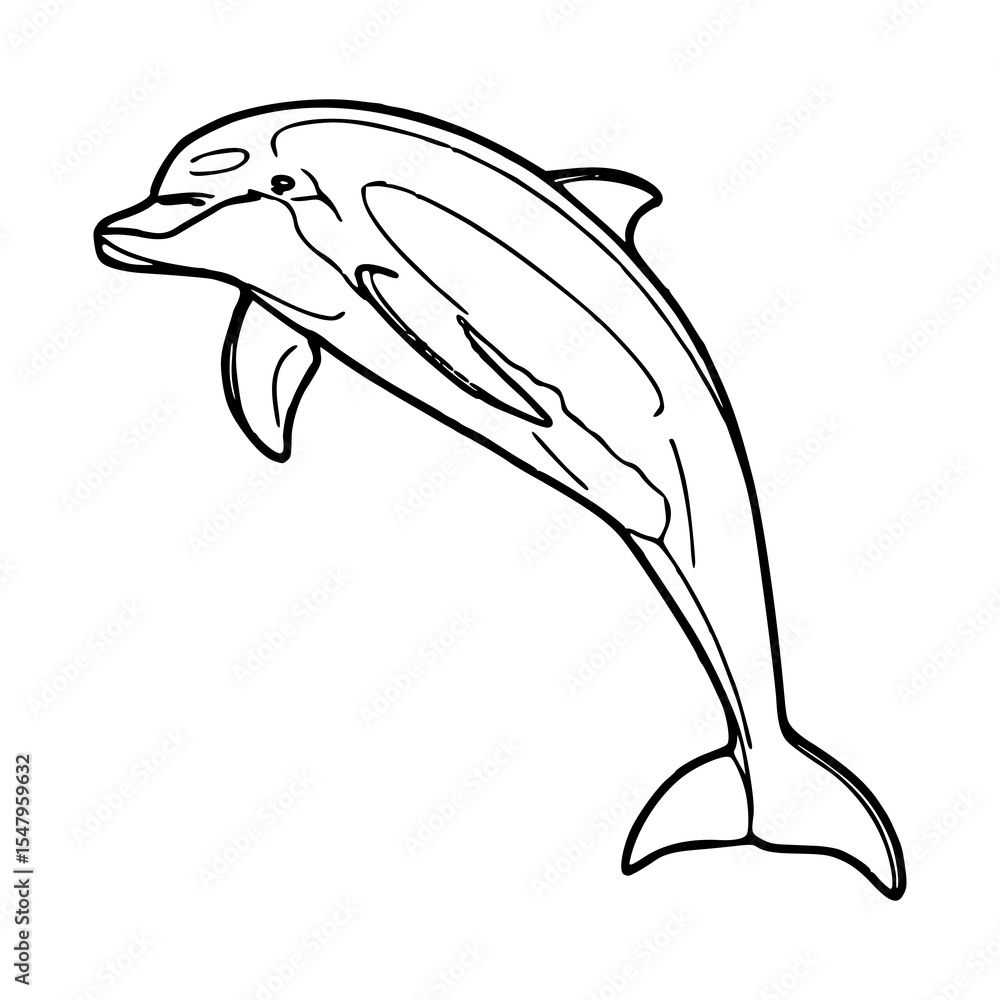 Fototapeta premium jumping dolphin outline vector