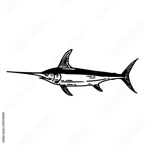 marlin fish vector illustration