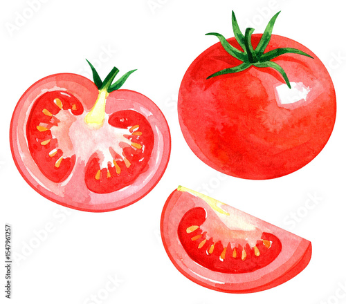watercolor illustration of a red tomato isolated