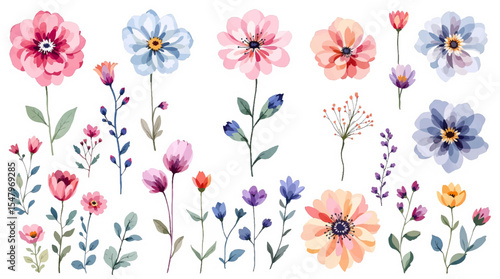 Spring  Set flowers watrecolor clipart on withe background