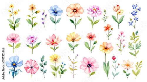 Colorful spring flowers, Set of watercolor flowers, Clipart watercolor flowers	