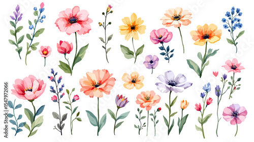 Colorful spring flowers, Set of watercolor flowers, Clipart watercolor flowers