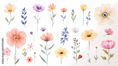 Colorful spring flowers, Set of watercolor flowers, Clipart watercolor flowers	