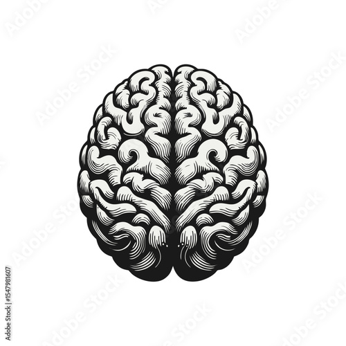 Brain Anatomical engrave illustration logo icon design
