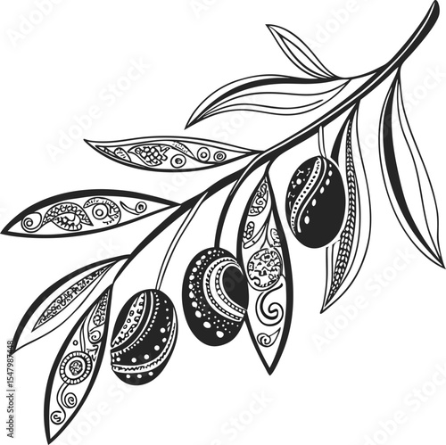 Vector illustration of an olive tree branch with leaves, a natural floral design element