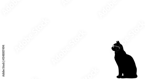 Black cat sitting calmly in minimalistic background during summer  