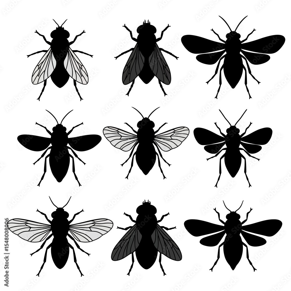 Exploring the World of Flies A Comprehensive Guide to Anatomy Behavior and Ecology of Common Fly Species Exploring the World of Flies A Comprehensive Guide to Anatomy Behavior and Ecology of Common Fly Species