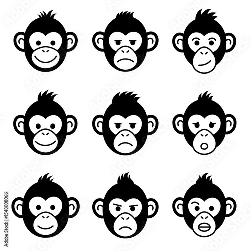 The Multifaceted World of Monkeys Exploring the Diverse Emotional Expressions Exhibited By Our Primate Relatives and their Communication Skills