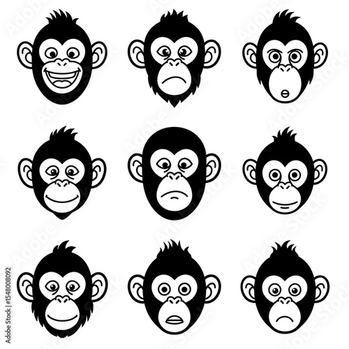A Collection of Monkeys Showing Different Emotions and Expressions with Distinct and Recognizable Emotional Facial Features for Humans