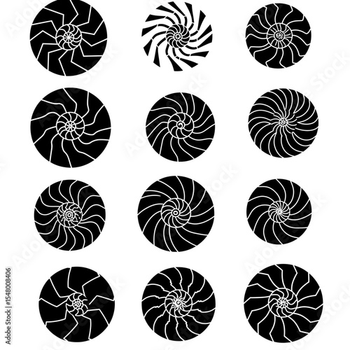 The Intricate Dance of Spirals A Black and White Geometric Exploration of Symmetry and Repetition for Aesthetic Design