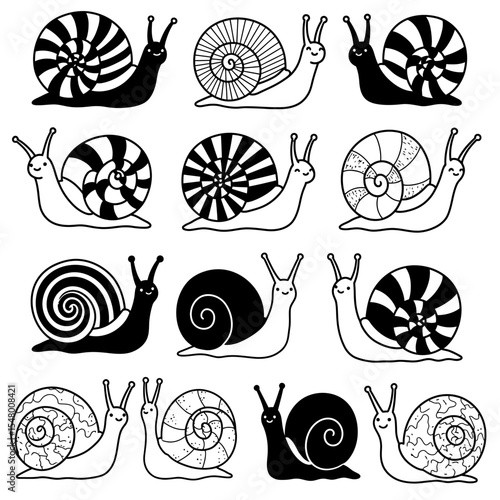 A Variety of Snail Illustrations Showcasing Different Shell Patterns and Body Colors Depicting Gastropod Mollusks in Black and White