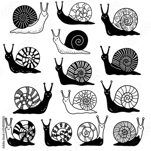 Exploring Snail Diversity A Collection of Hand Drawn Snail Illustrations Showcasing Different Shell Patterns and Body Shapes