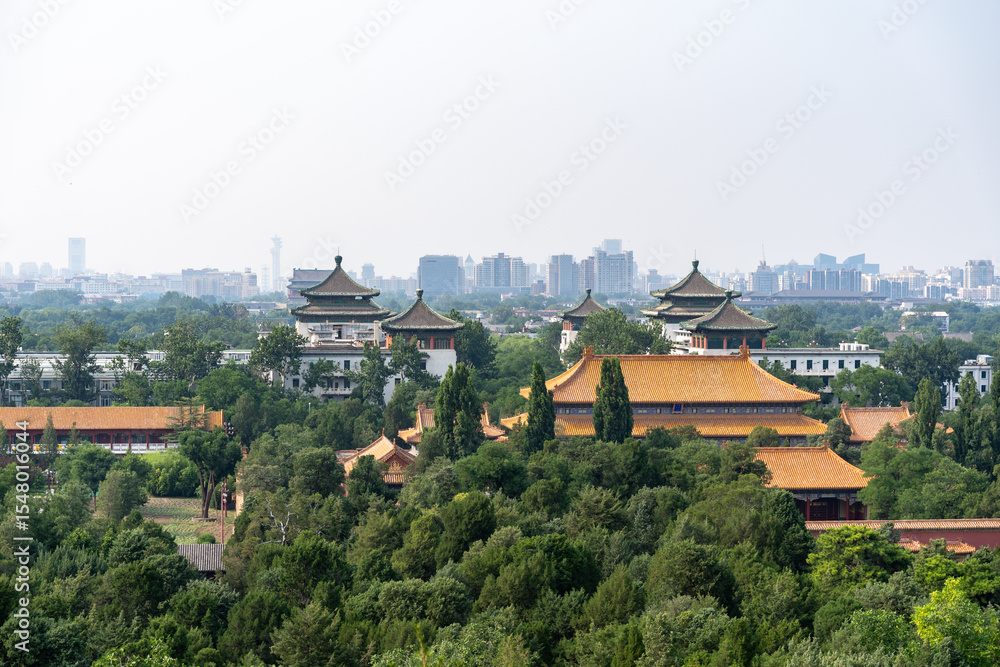 custom made wallpaper toronto digitalAncient Chinese temples amidst modern cityscape