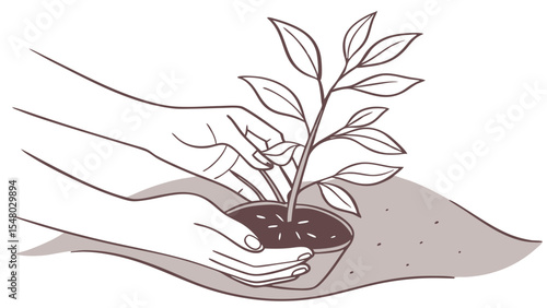 Illustration of hands planting a young tree in a pot with soil, symbolizing growth and nurturing care