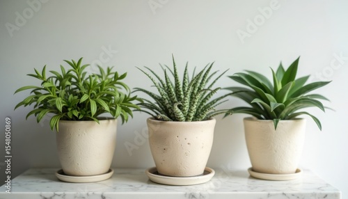 Wallpaper Mural Three potted houseplants stand on a marble surface against a white wall in a simple, clean setting. Torontodigital.ca