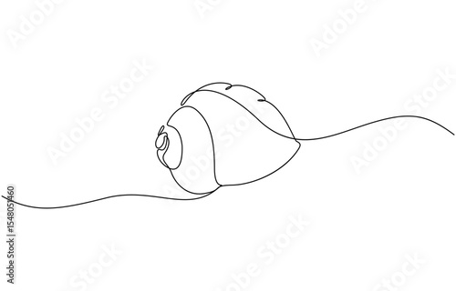 Continuous line drawing of conch snail shell. Single line illustration of ocean conch shell, Snail continuous one line drawing isolated on white background.