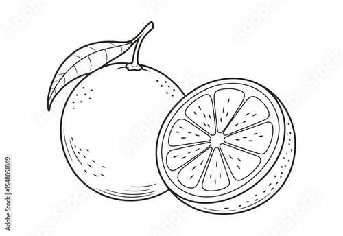 Whole orange and slice line art illustration