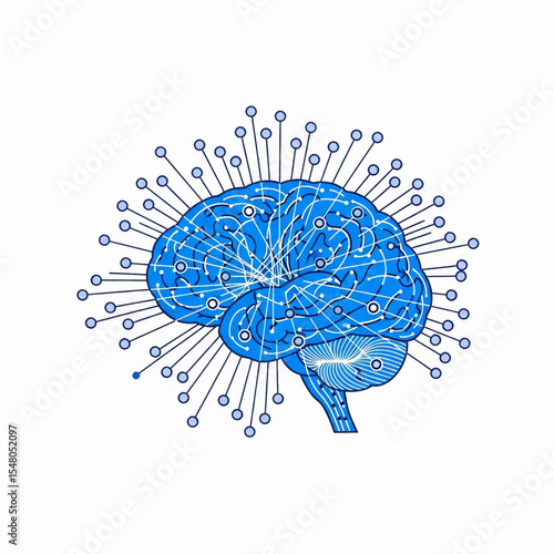 blue brain network