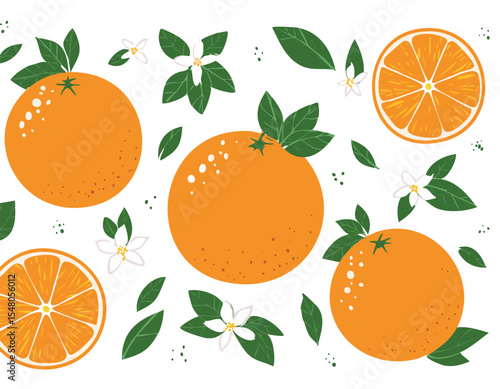 Set of hand drawn oranges fruits with leaves, branches and flowers. Vector modern botanical illustration. Set of citrus tropical fruits. Summer design for pattern, poster, card, fabric, leaf, collage,