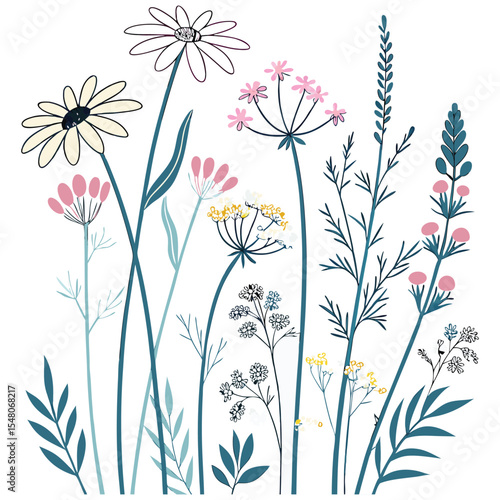  Wild flowers vector collection.  herbs, herbaceous flowering plants, blooming flowers, subshrubs isolated on white background.vector illustration.