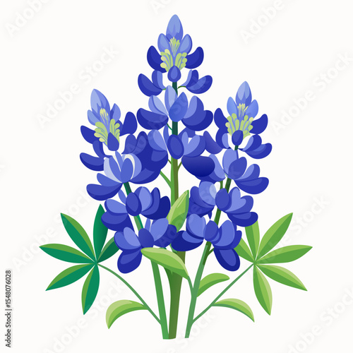 forget me not flowers