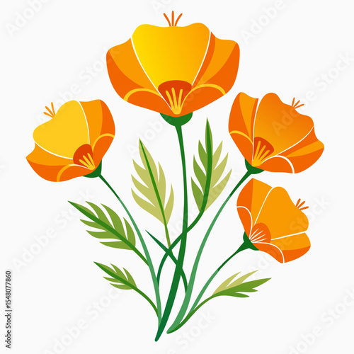 orange flower isolated on white
