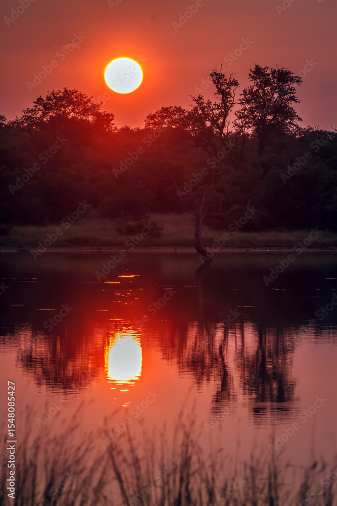 Fototapeta premium Sunrise from sable dam hide in Greater Kruger National park, South Africa