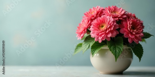 Wallpaper Mural Full, lush chrysanthemum plant in ceramic container, chrysanthemum, full, photography Torontodigital.ca