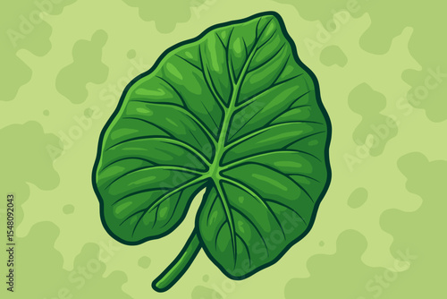 Large green Colocasia leaf vector illustration. Detailed cartoon of a single tropical taro or elephant ear foliage. Natural botany icon for summer, jungle, or garden design.