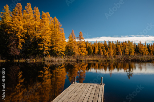 The autumn tamaracks reflect off the calm bog waters from the opposite shoreline of this small boat pier at the High Lake boat launch, near Boulder Junction, Wisconsin in mid-October