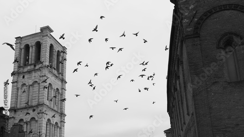 Ferrara, Italia. Foto in bianco e nero. Il cielo della piazza principale è pieno di uccelli in volo.