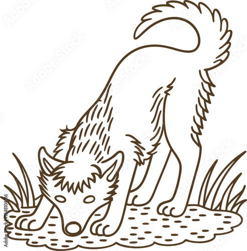 Curious wolf sniffing ground, wild animal in nature outline drawing of canine exploring outdoors in grass