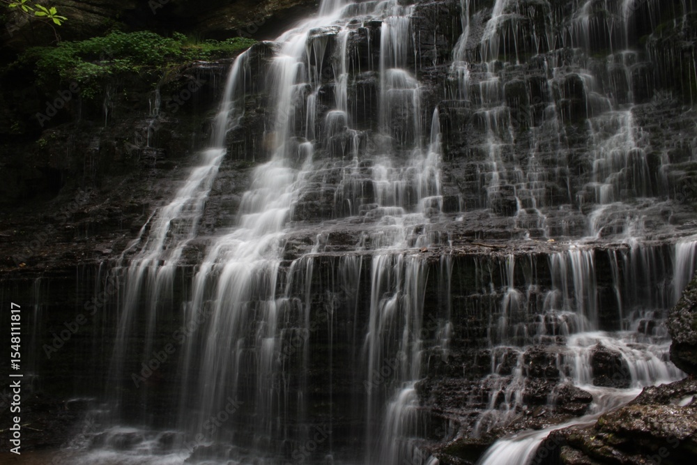 Fototapeta premium waterfall in the forest