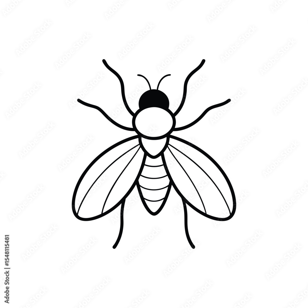 Obraz premium fly line art