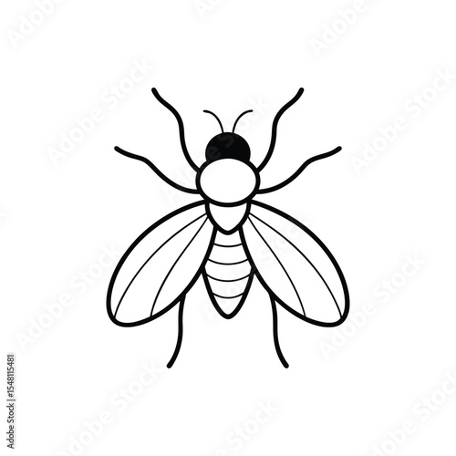 fly line art