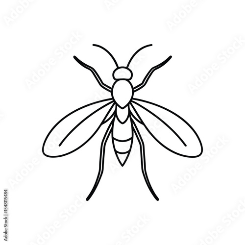 gnat line art