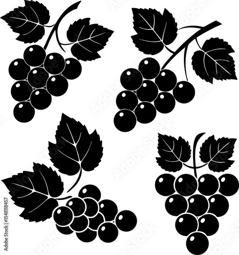 bunch of white table grapes with leaf flat color i (1).eps