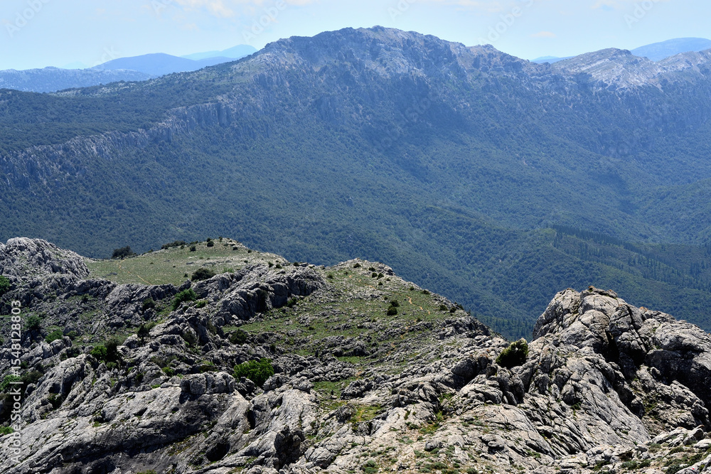 Fototapeta premium Trekking a Punta Corrasi nel Supramonte di Oliena