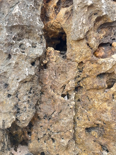 Rough Stone Texture: Close-up view of a rugged stone surface, showcasing a variety of textures, colors and formations.