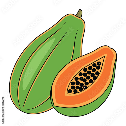 Papaya fruit illustration