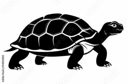 gal pagos tortoise silhoette black vector