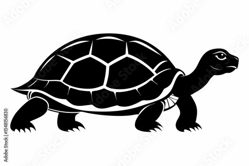 gal pagos tortoise silhoette black vector