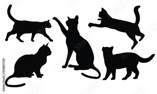 vector isolated silhouette cat set