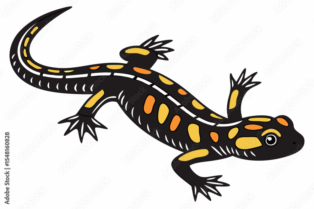 Obraz premium fire salamander sihouette black vector 