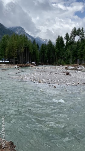Peaceful Mountain River Flowing Through Pine Forest – Serene Nature Scene
