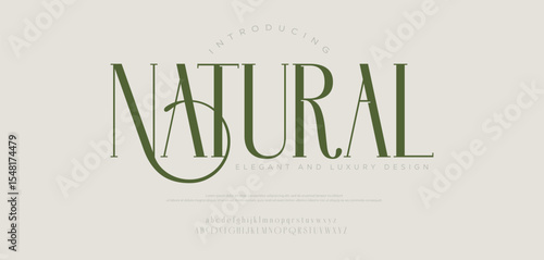 Natural luxury wedding alphabet logo font . Typography modern minimal lettering serif italic fonts decorative wedding vintage retro logos. vector illustration
