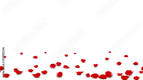Frame background romantic event with realistic red rose petals on floor vector. seamless horizontal