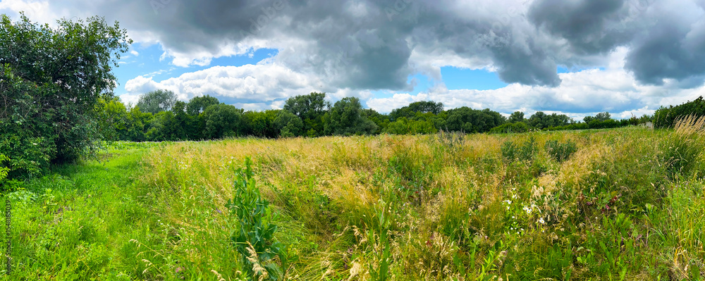 Obraz premium Panoramic view of a summer meadow with tall grass and dense green trees under a dramatic sky. Perfect for backgrounds, banners, and nature-themed design.