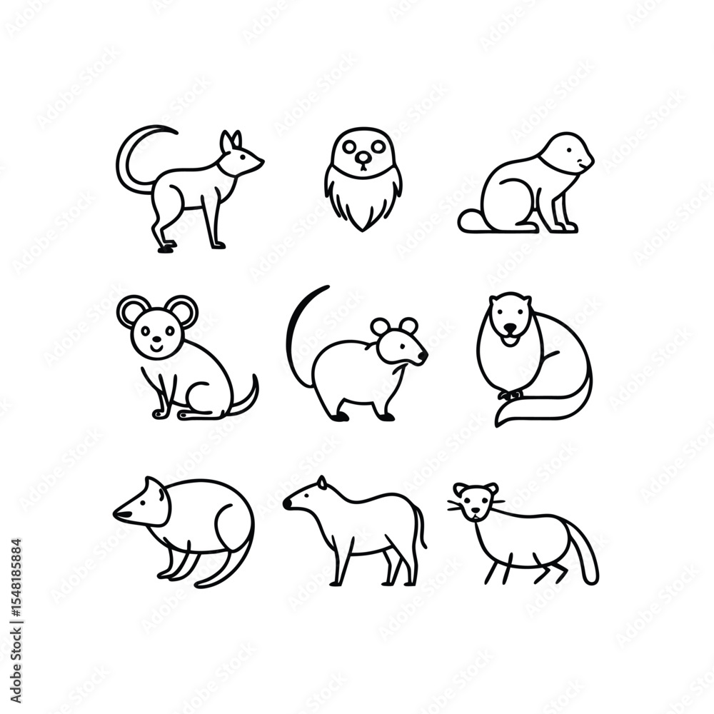 vector illustration of 16 tarantula mongoose p.eps vector illustration of 16 tarantula mongoose p.eps